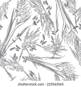 Vintage rice. Seamless pattern with hand drawn plant 