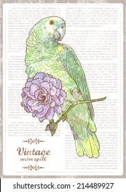 Vintage romantic card with bird. Vector hand drawn illustration. Retro background. Shabby chic bird background for you design and scrapbooking. Newspaper columns in vintage style.