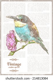 Vintage romantic card with bird. Vector hand drawn illustration. Retro background. Shabby chic bird background for you design and scrapbooking. Newspaper columns in vintage style.