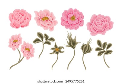 Vintage romantic pink and yellow flower clip art collection with rose florals, peony, wildflower, and leaf branch illustration elements for wedding invitation, greeting card, prints, decorations