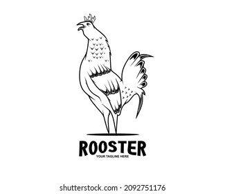 Vintage rooster logo design vector concept