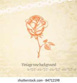 Vintage rose background