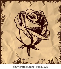 Vintage rose bud. Sketch vector illustration