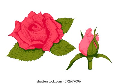Vintage rose flower vector illustration.