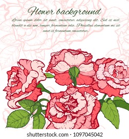 Vintage rose. Hand drawn vector illustration background.