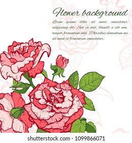 Vintage rose. Hand drawn vector illustration background.