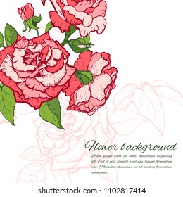 Vintage rose. Hand drawn vector illustration background.