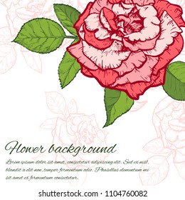 Vintage rose. Hand drawn vector illustration background.