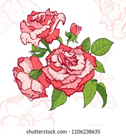 Vintage rose. Hand drawn vector illustration background.