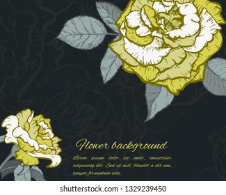 Vintage rose. Hand drawn vector illustration background.