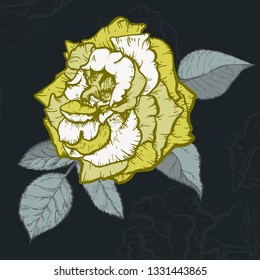 Vintage rose. Hand drawn vector illustration background.