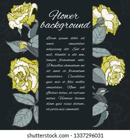 Vintage rose. Hand drawn vector illustration background.