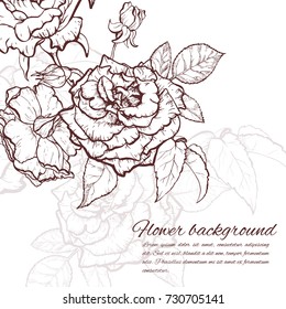 Vintage rose. Hand drawn vector illustration background.