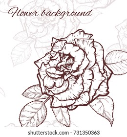 Vintage rose. Hand drawn vector illustration background.