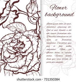 Vintage rose. Hand drawn vector illustration background.