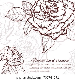 Vintage rose. Hand drawn vector illustration background.