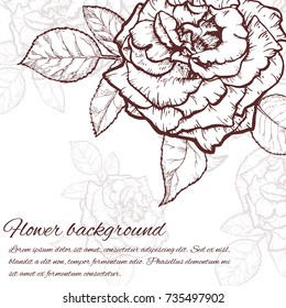 Vintage rose. Hand drawn vector illustration background.