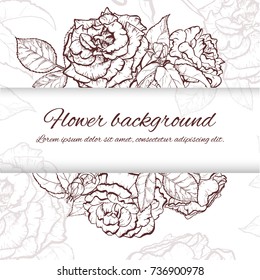 Vintage rose. Hand drawn vector illustration background.