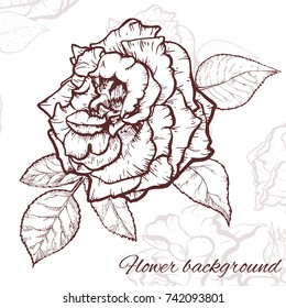 Vintage rose. Hand drawn vector illustration background.