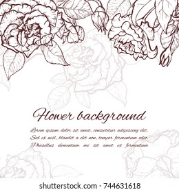 Vintage rose. Hand drawn vector illustration background.