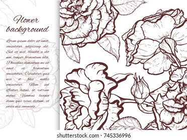 Vintage rose. Hand drawn vector illustration background.