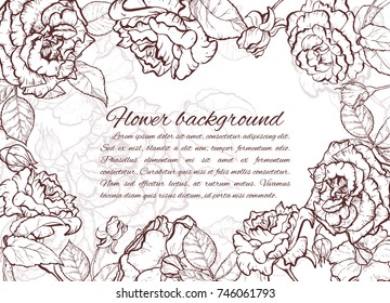 Vintage rose. Hand drawn vector illustration background.