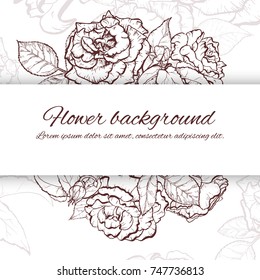 Vintage rose. Hand drawn vector illustration background.