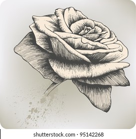 Vintage Rose, hand-drawing. Vector illustration.