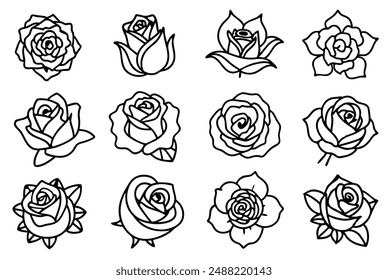 Vintage Rose Line Art Design Hand Illustration