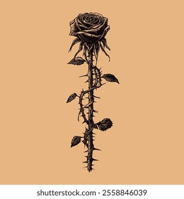 Vintage rose with thorns on the sides illustration of a classic tattoo that can be used as a print on a t-shirt or sticker