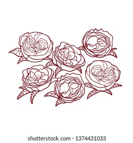 Vintage roses. Black and white graphics.