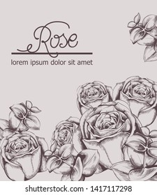 Vintage roses card Vector line art. Boho style posters. Pink color