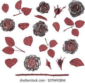 Vintage roses. Collection of black flowers with red leaves