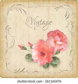 Vintage roses postcard. Retro vector vintage romantic floral background with beautiful flowers, decorative border frame, subtle grunge texture of paper surface, rough edges in romantic retro style