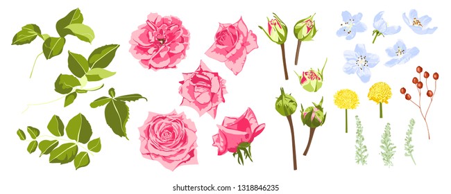 Vintage Roses, Seamless Wedding Pattern. Vector Pink Flower, Green Leaf. Elegant Vintage Card or Invite Design. Set of Peony Spring Bouquet, Summer Floral Illustration. Watercolor Vintage Drawn Style.