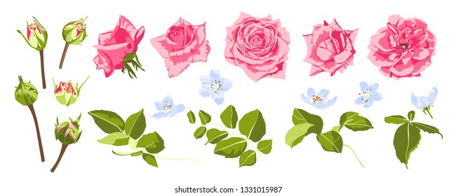 Vintage Roses, Seamless Wedding Pattern. Vector Pink Flower, Green Leaf. Elegant Vintage Card or Invite Design. Set of Peony Spring Bouquet, Summer Floral Illustration. Watercolor Vintage Drawn Style.