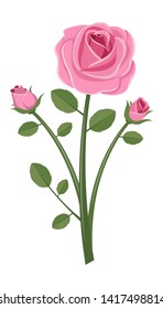 Vintage roses vector design illustration isolated on white background