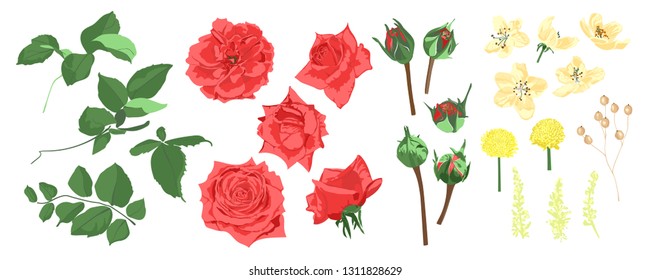 Vintage Roses for Wedding Card, Invite Design. Red Flowers Bouquet Set, Vector Floral Illustration. Romantic Wedding Decoration for Cards or Invitation. Hand Drawn Watercolor Wedding Rustic Elements.