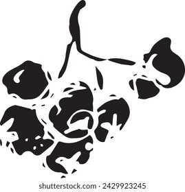 Vintage rowan, great design for any purposes. Hand drawn black illustration.