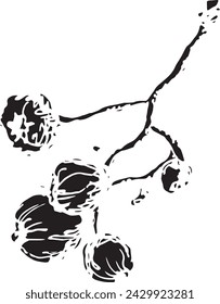 Vintage rowan, great design for any purposes. Hand drawn black illustration.