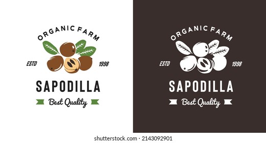 vintage sapodilla fruit logo illustration suitable for fruit shop and fruit farm