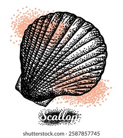 Vintage scallop shell vector illustrations in engraving, dot style. set of elements for menu, flier, t-shirt print, cards.