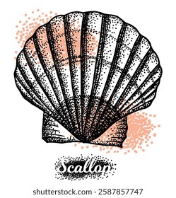 Vintage scallop shell vector illustrations in engraving, dot style. set of elements for menu, flier, t-shirt print, cards.