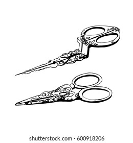 Vintage scissors, hand drawn vector illustration