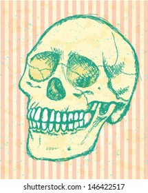 Vintage scull, sketch vector background