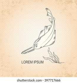 Vintage sea background. Hand drawn sketch seafood vector illustration of  fish saw fish