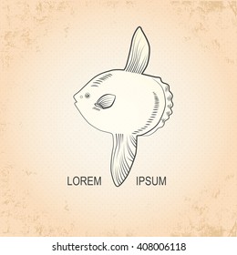 Vintage sea background. Hand drawn sketch seafood vector illustration of  moon fish. It is moon fish.
