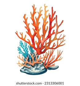 vintage sea corals decoration art design vector illustrator