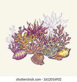 Vintage sea life natural greeting card, underwater vector illustration, fish, shells and seaweed. Nautical hand drawn design objects.