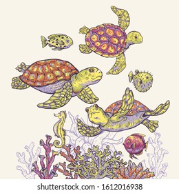 Vintage sea life natural greeting card, underwater vector illustration, fish, sea turtle, shells and seaweed. Nautical hand drawn design objects.